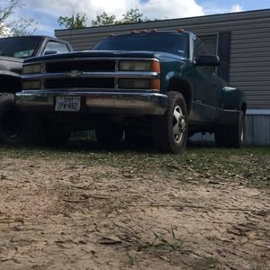 Meet your Posher, Rhody